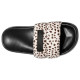 D' Franklin Venice Slides
